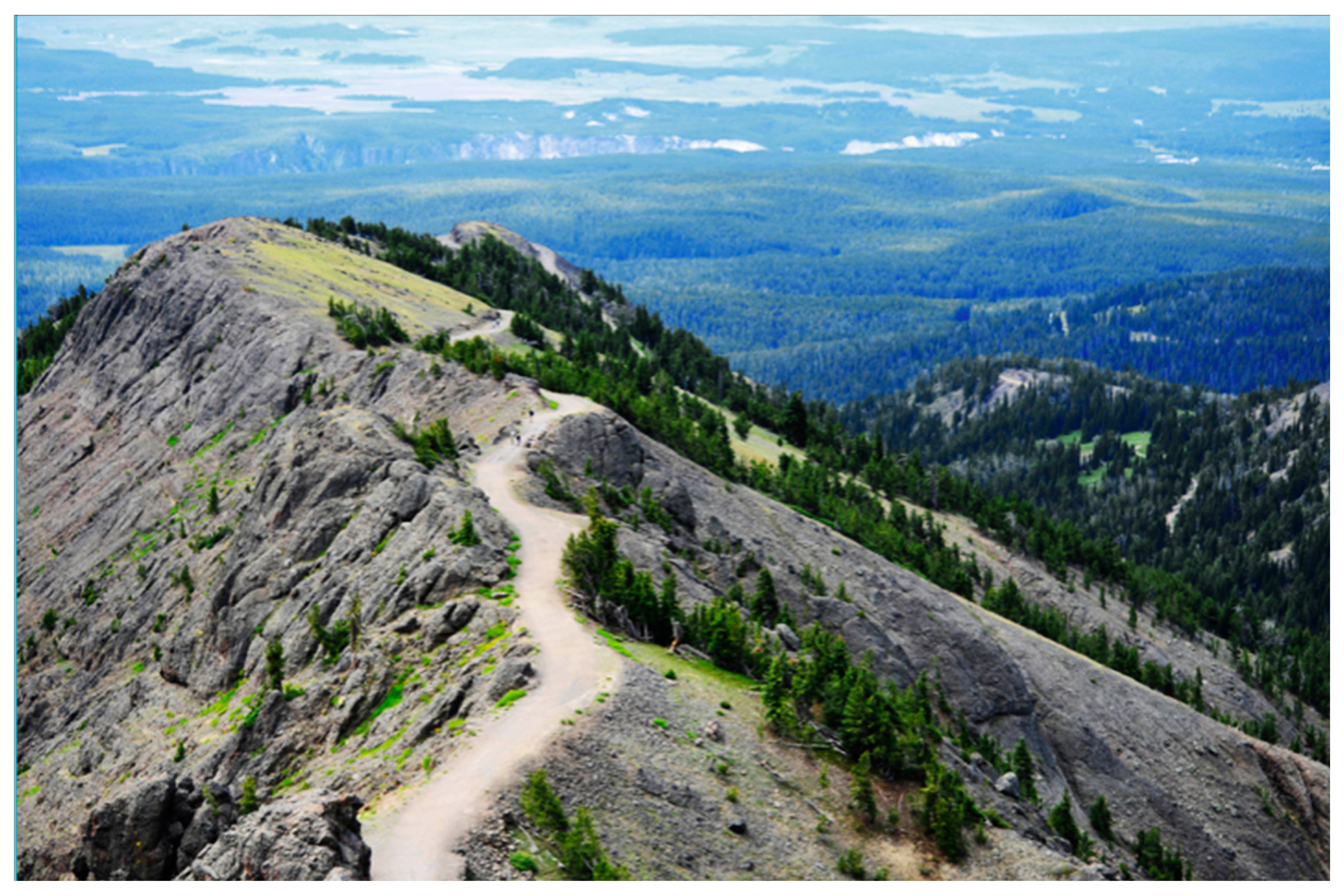 3 Scenic Hikes in Yellowstone National Park